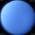 1586386816.jpg