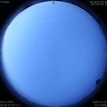 1586386876.jpg