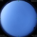 1586387431.jpg