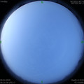 1586388347.jpg