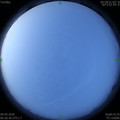 1586388407.jpg