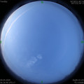 1586389022.jpg