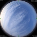 1586391318.jpg