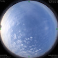 1586392339.jpg