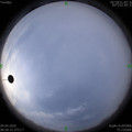 1586397501.jpg