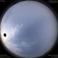 1586397742.jpg