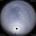 1586412209.jpg