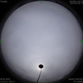 1586413169.jpg