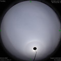 1586415750.jpg