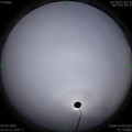1586416291.jpg