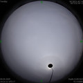 1586416891.jpg