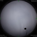 1586419517.jpg