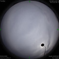 1586420838.jpg