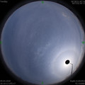 1586423419.jpg