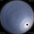 1586423599.jpg