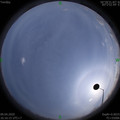 1586423794.jpg