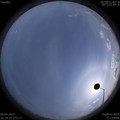 1586423975.jpg
