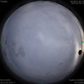 1586430968.jpg