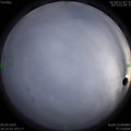 1586431208.jpg