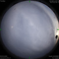 1586431628.jpg