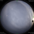 1586431748.jpg