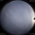 1586432168.jpg