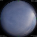 1586436446.jpg