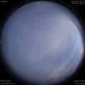1586436566.jpg