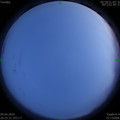1586438742.jpg