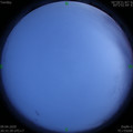 1586439117.jpg