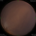 1586448016.jpg