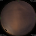 1586451934.jpg