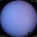 1586471083.jpg