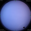 1586471128.jpg