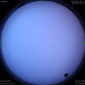 1586471353.jpg