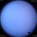 1586471503.jpg