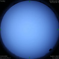 1586474024.jpg