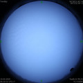 1586474444.jpg