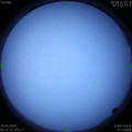 1586474564.jpg