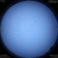 1586475000.jpg