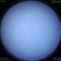 1586475960.jpg