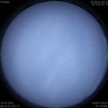 1586476560.jpg