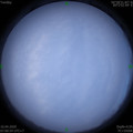 1586476861.jpg