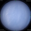 1586476921.jpg