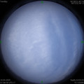 1586477356.jpg