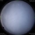 1586478917.jpg