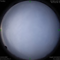 1586479037.jpg