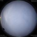1586479337.jpg