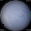 1586479817.jpg