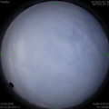 1586479937.jpg
